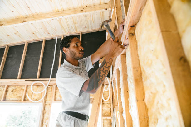 Best Fiberglass Insulation  in Pigeon, MI